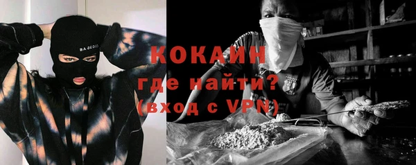 индика Щигры