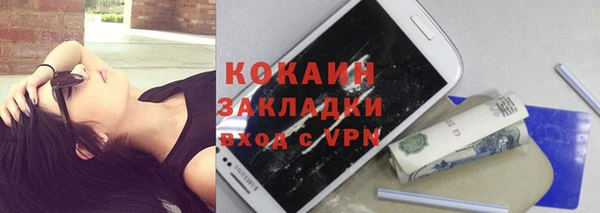 индика Щигры