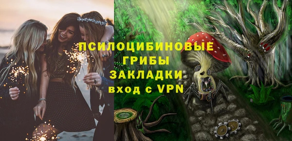 хмурый Снежногорск