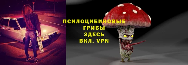 хмурый Снежногорск