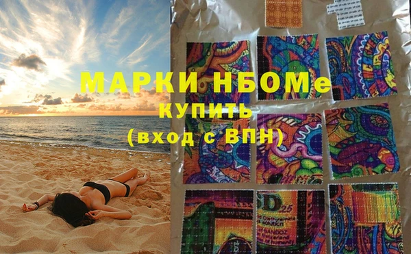 хмурый Снежногорск