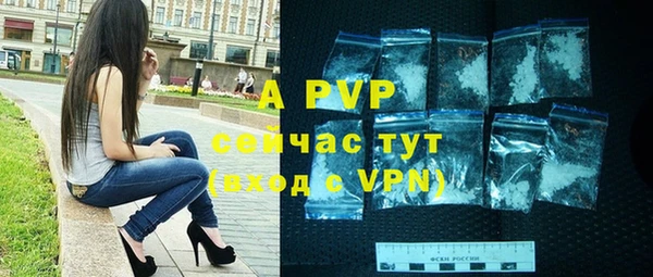 хмурый Снежногорск