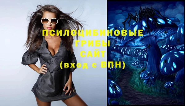 ешки Кропоткин