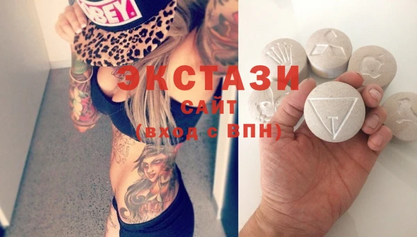 индика Щигры