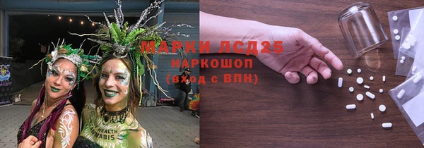 хмурый Снежногорск