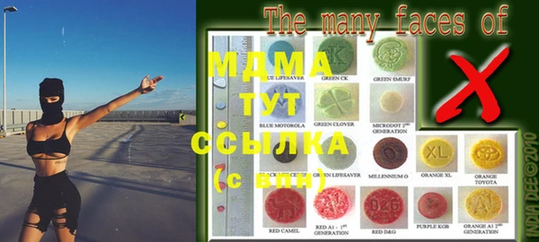индика Щигры