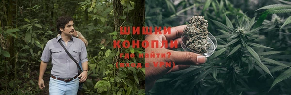 хмурый Снежногорск