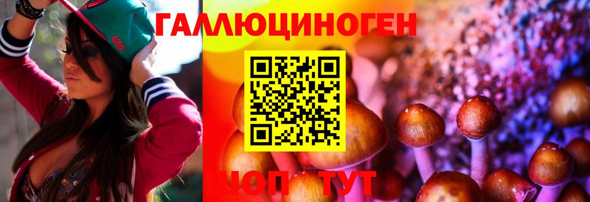 Галлюциногенные грибы мицелий  Вход с VPN  Усть-Илимск  Псилоцибиновые грибы Psilocybe 