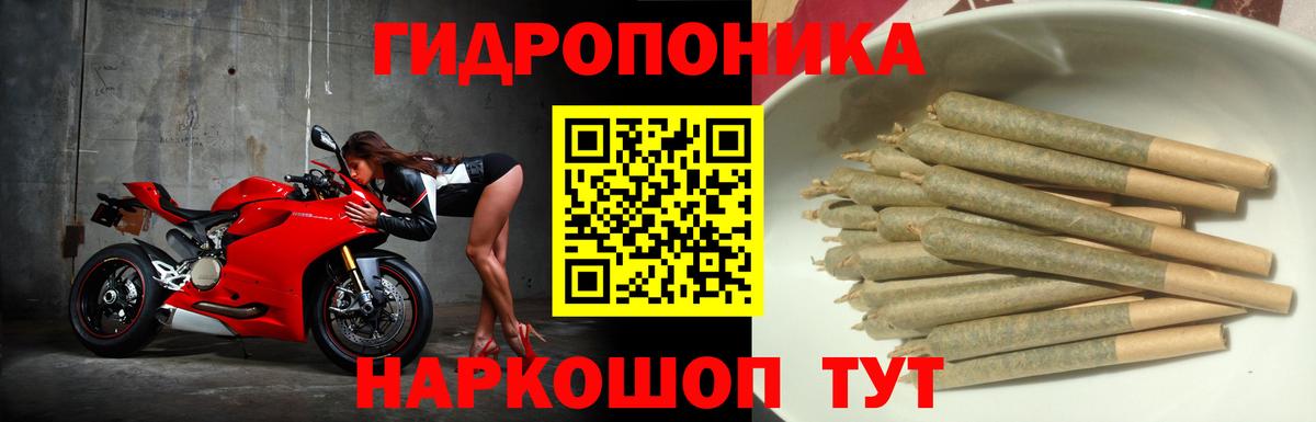 Марихуана конопля  Канабис ГИДРОПОН  Усть-Илимск 